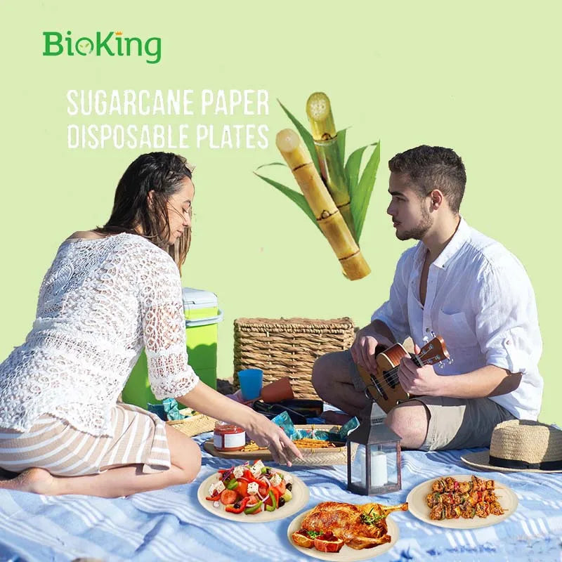 Bioking Free Sample Biodegradable 3 Compartment Dinner Plate BPA Free Bagasse Disposable for Party Restaurant Use DDP USA / America