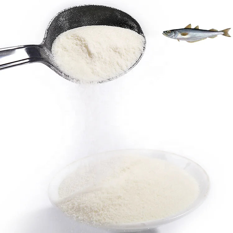 Best Marine Collagen Powder Peptides Supplier