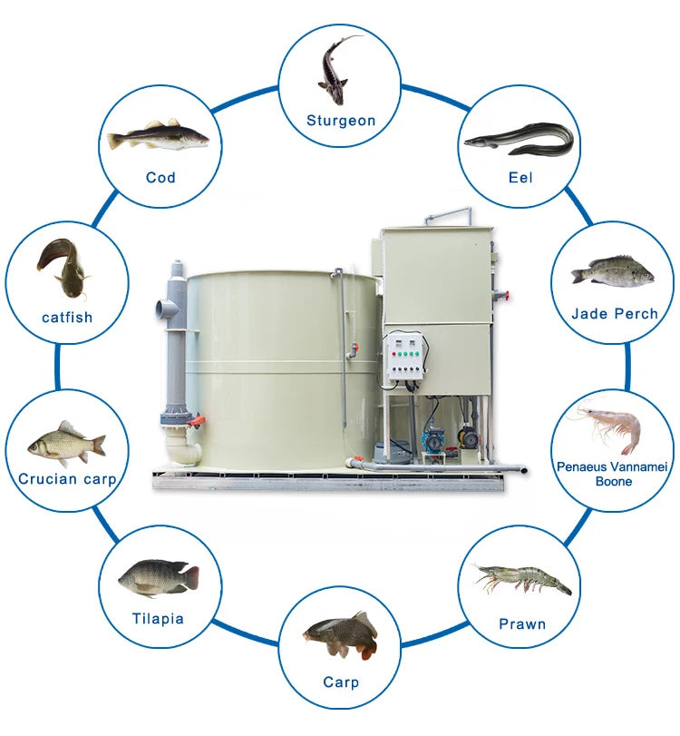 QihangRAS Recirculating Aquaculture Skid Filtration Systems Indoor Fish Farming Drum Filter All One 5m3/h Sterilization