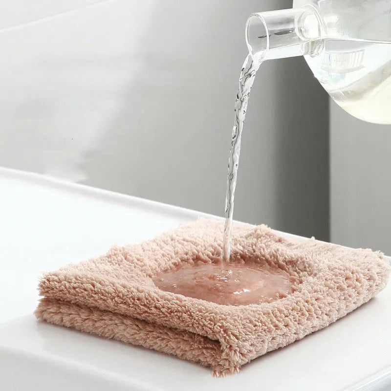 Coral Velvet Kitchen Cleaning Cloths Pads and Rags for Cleaning