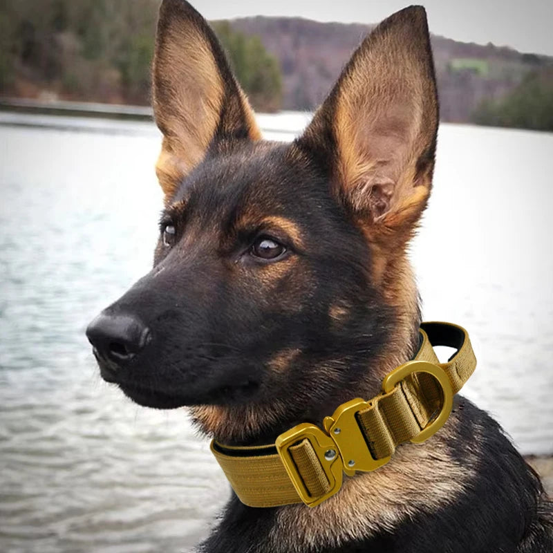 Durable Dog Tactical Collar OEM Custom Adjustable Manufacturer Designer Pet Dog Training Nylon Collars for Medium and Large Dog