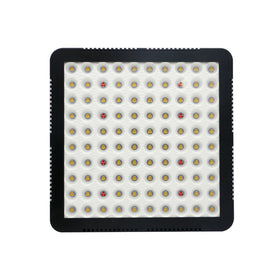 300w/600w LED Bulbs Cob Greenhouse Plant Growing Lights Strips Indoor Hydroponic Full Spectrum Led Grow Light
