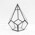 Handmade Creative Silver Teardrop Shape Geometric Glass Terrarium for Succulent Moss Fern Plants Holder Tabletop Display