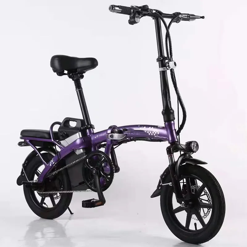 Lead Industry China Factory Price 1000w 48v 26" OEM Double Disc Mountain Aluminum Alloy E BIKE New Electric Folding Bicycle