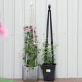 Plant Support Flower Support Support Cage Practical Greenhouse Gardening Garden Trellis Pipe Climbing Tomato Plant Cage