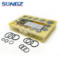 New Product Excavator Stamps NBR O Ring Kit Box for CAT