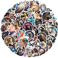 50pcs Starry Dreamers Waterproof PVC Sticker Packs for Holiday Laptop Luggage Notebook Mobile Phone Bottle Cup Decoration