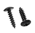 Black Coating Cross Recessed Mushroom Head Self Tapping Screws