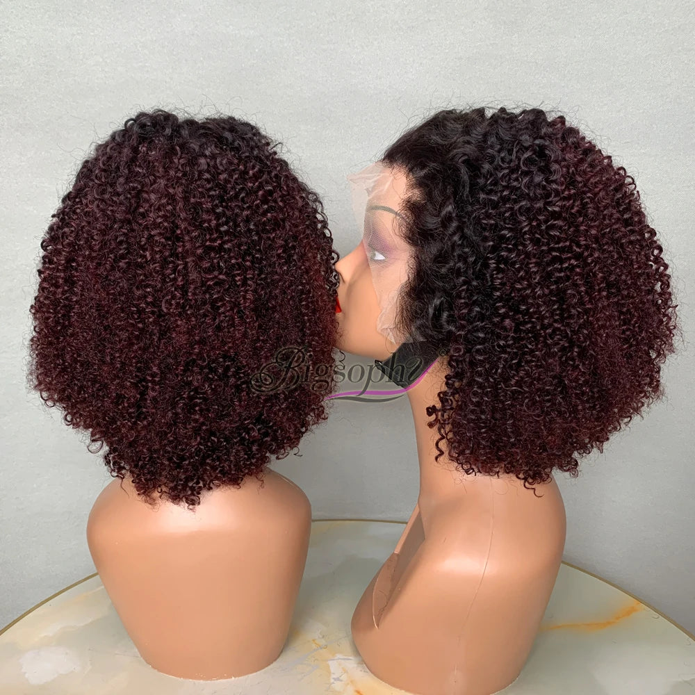 12inch Virgin Human Hair Lace Front 13by4 WigHigh Quality Cuticle Aligned Virgin Hair WigsKinky Curly Short Wigs