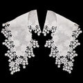 DIY Garment Accessory White Cotton Water-soluble Embroidery Collar Lace Applique Pair LT2728A