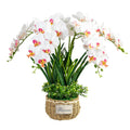 Rattan Flower Pot Faux Real Touch Silk Potted Phalaenopsis Orchid Plants Artificial Orchid Flower with Pot for Home Indoor Decor