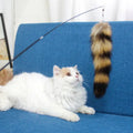 Direct From Factory Cat Toys with Real Fox Hair Tail & Fishing Rod Fun Pet Dolls Plush Accessories for Auto Upholstery Garments