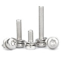 Stainless Steel 304 Round Head Torx Combination Screw with Washers Metric Measurement System