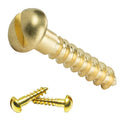 20 Years Factory M3 Brass Self Tapping Screw Minus Round Head with Metric Measurement System