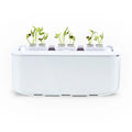Desktop Home Indoor  Auto Watering Soilless Cultivation Balcony Vegetable Planting Box