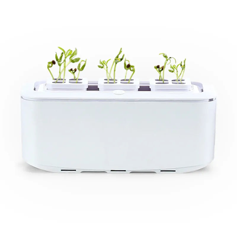 Desktop Home Indoor  Auto Watering Soilless Cultivation Balcony Vegetable Planting Box