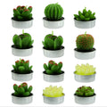2025 Trending Luxury Fragrance Succulent Candles by Soy Wax with Flower Dessert  Shaped for Birthday Christmas Home D��cor