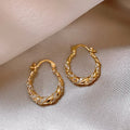 Fashionable Zircon Fried Dough Twists Earrings for Wholesale NSA2633