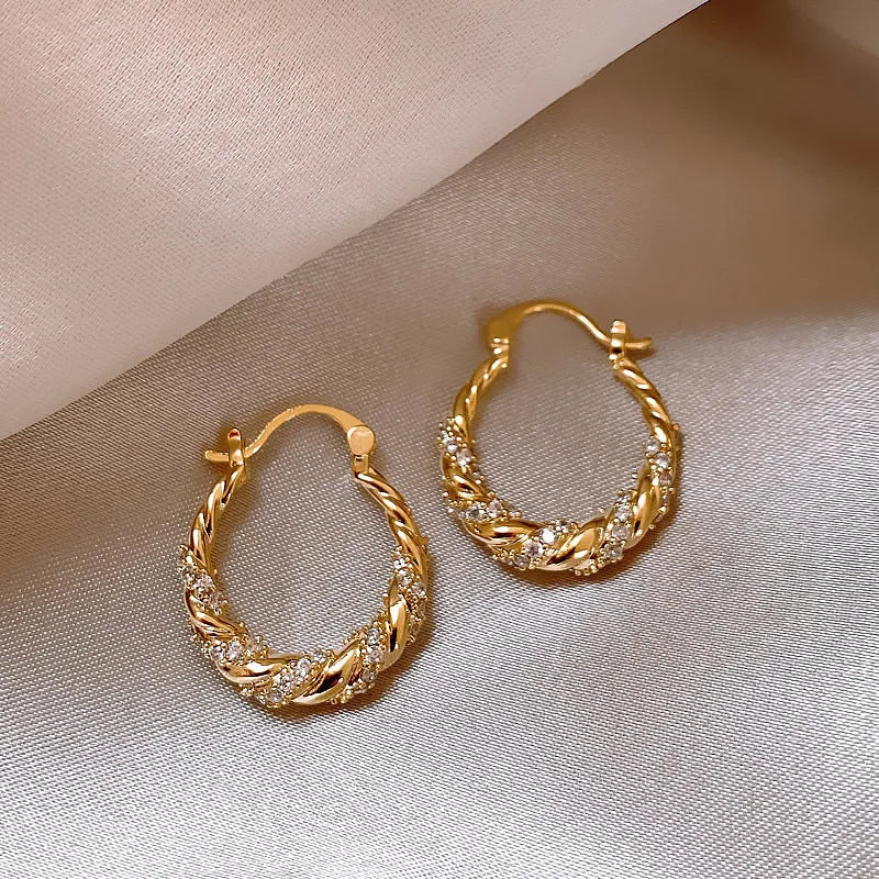 Fashionable Zircon Fried Dough Twists Earrings for Wholesale NSA2633