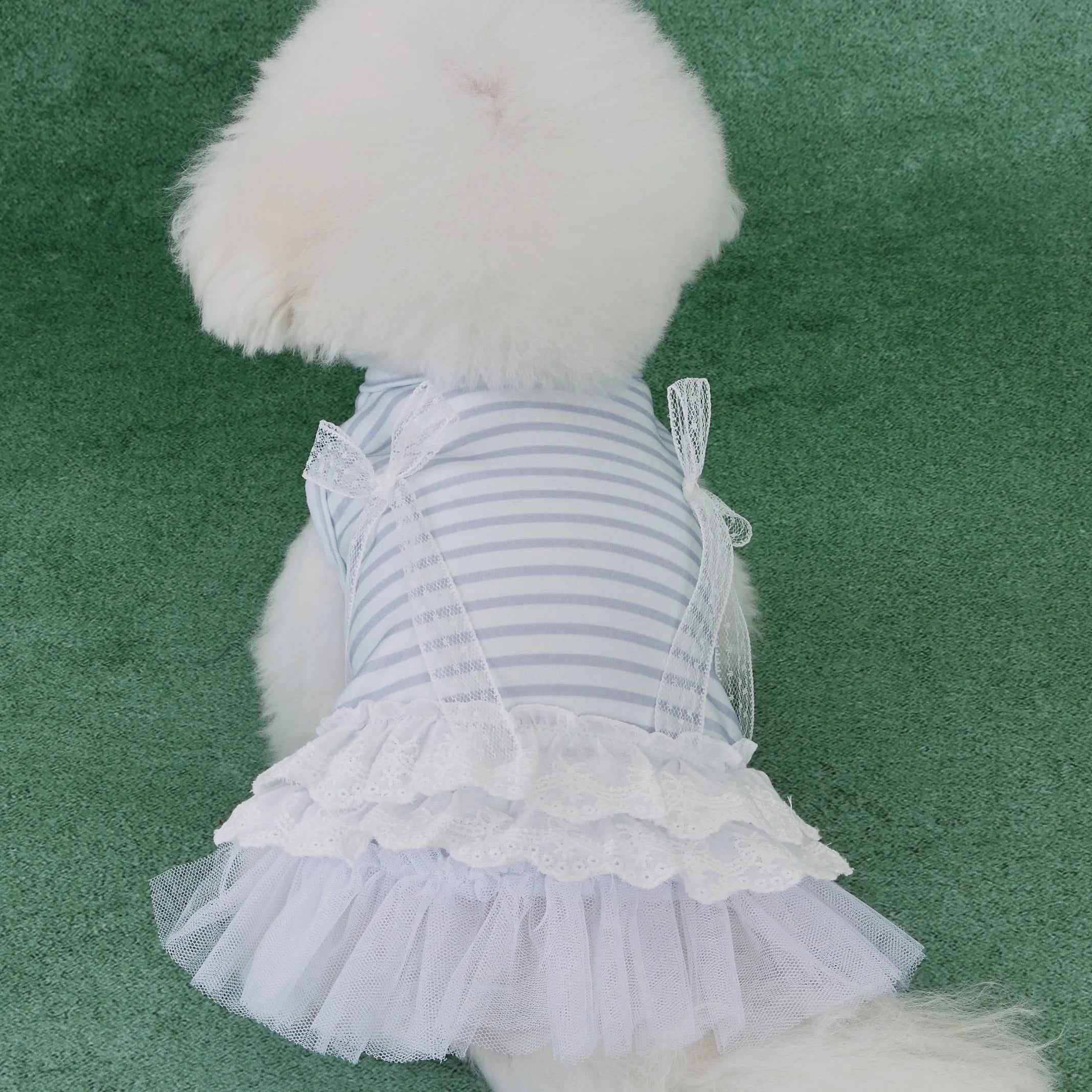 HW Dress for Dog
