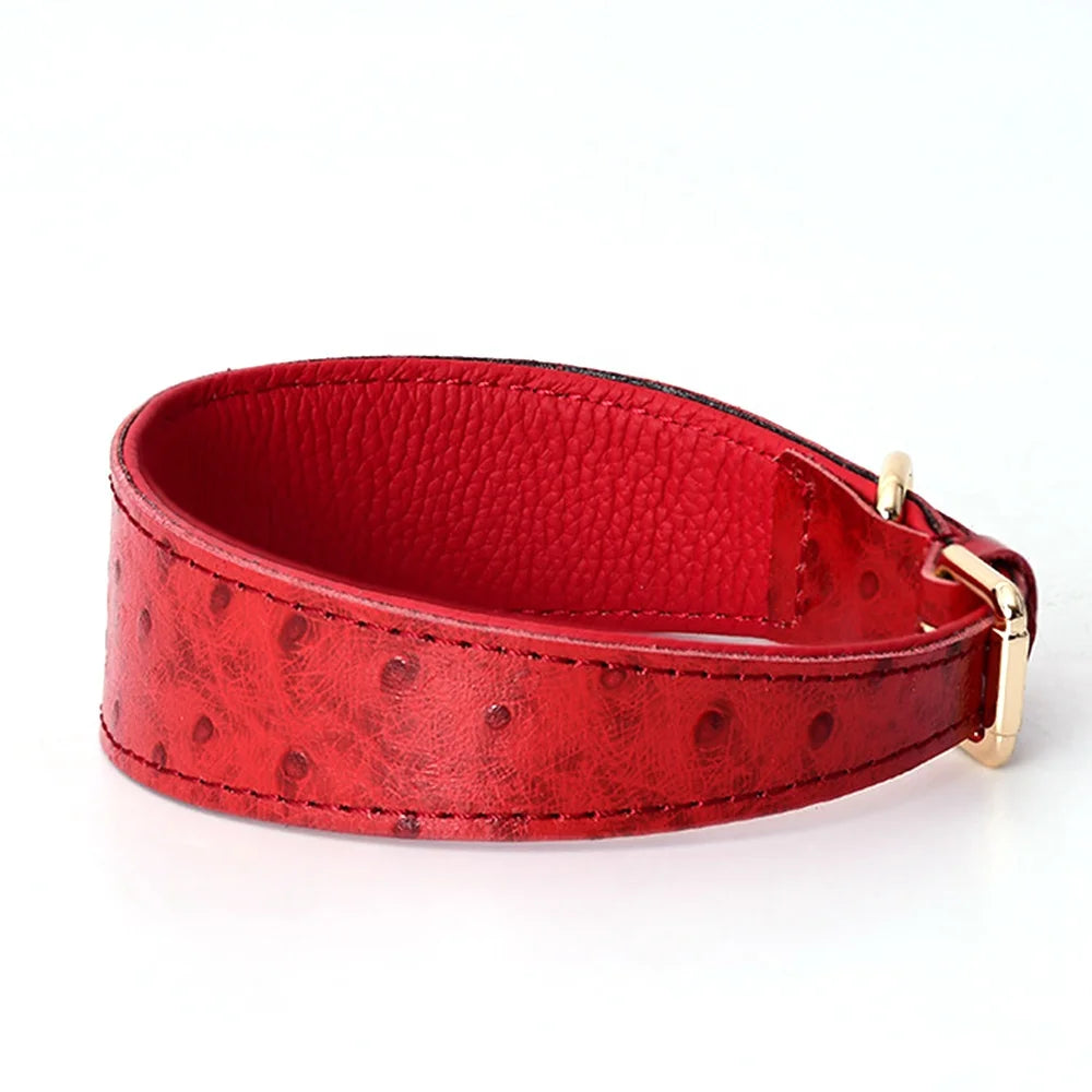 Wide Leather  Dog Collar to Fit Whippets Greyhounds Italian Greyhounds and Lurchers With Recycled Materials