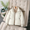 Boutique Wholesale 2024 Winter New Style Stand up Collar Fashionable Versatile Retro Slimming Long Sleeved Women's Jacket