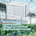 500P High Capacity Humidity Control Automatic Defrost CeilingMounted Condensing Industrial Dehumidifier for Greenhouse Grow Room