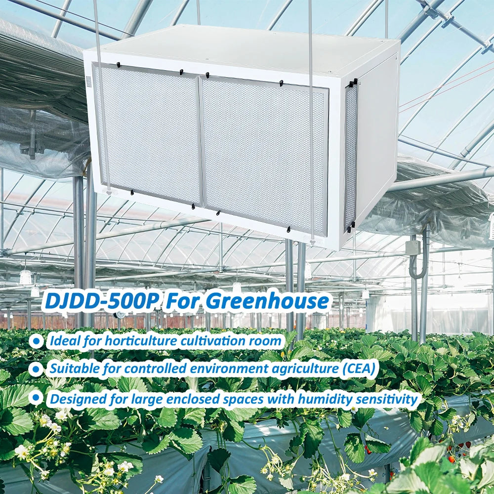 500P High Capacity Humidity Control Automatic Defrost CeilingMounted Condensing Industrial Dehumidifier for Greenhouse Grow Room