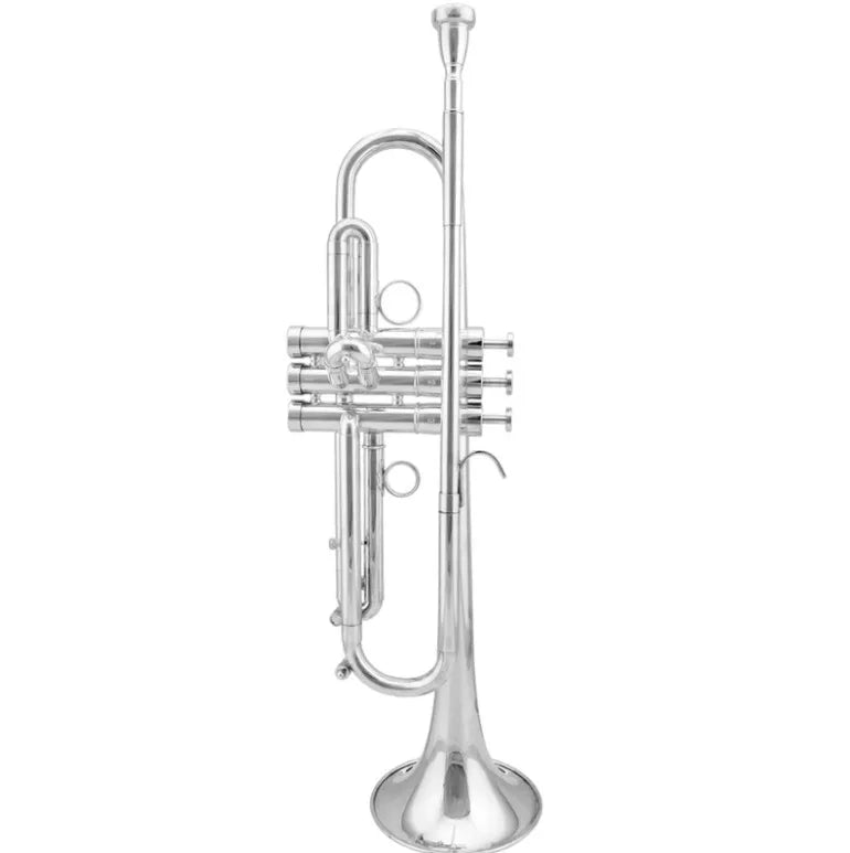 Wholesale  Brass Silver Trumpet Bb  for Sale for Beginners