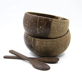 Small Design Wholesale Eco-Friendly Polished Coconut Shell Flower Bowl Set with Spoons for Business Gifts