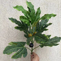 Hot Selling OV Brand Fiddle Leaf Fig Artificial Tree with Silk Leaves & Plastic Trunk-Wedding Home Decor 1.5m-2.1m Sizes
