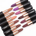 Private Label Waterproof Lipstick Vegan Makeup Matte Colors Lipstick 24 Colors Lipstick