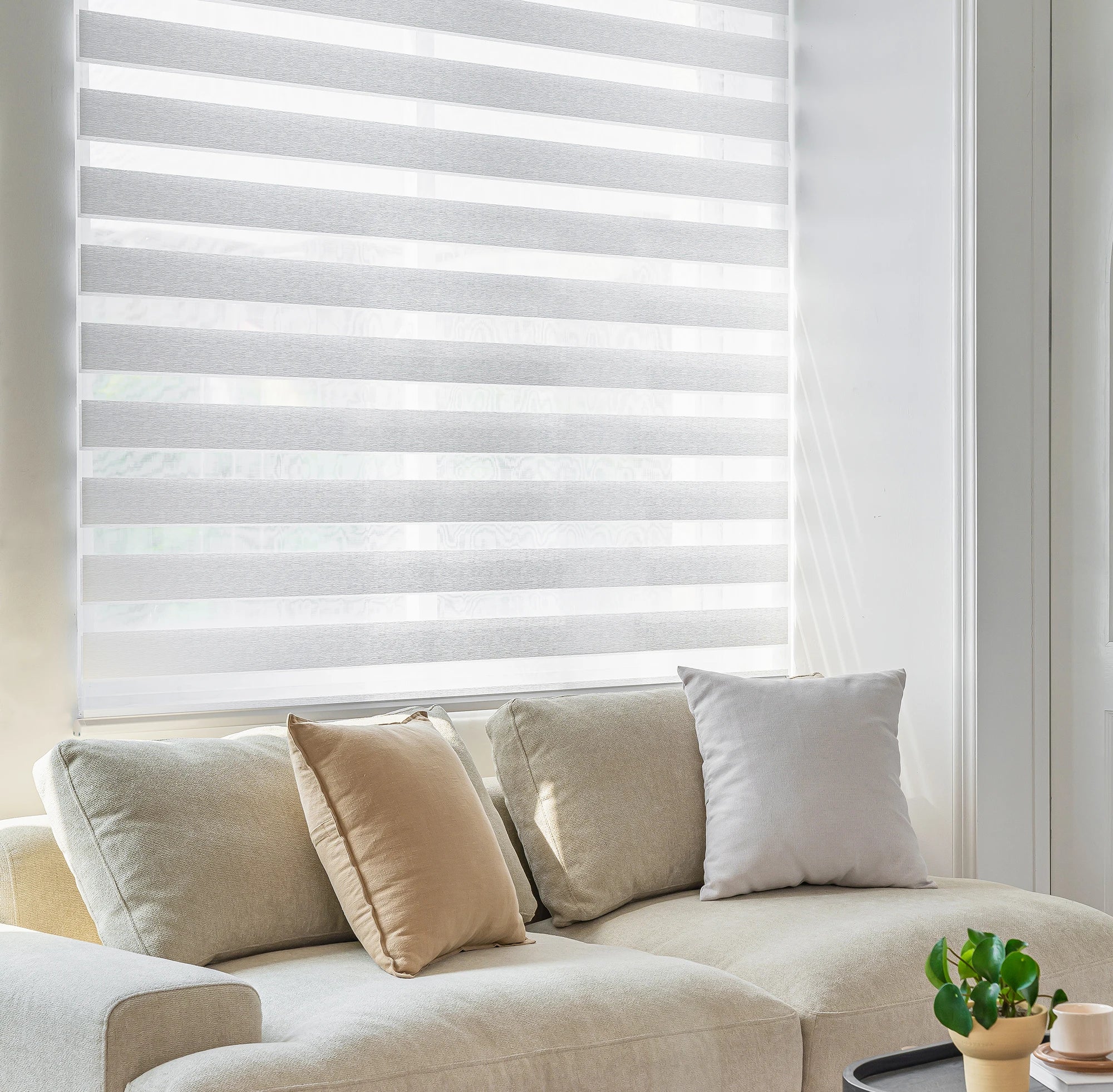 Cordless Zebra Blinds for Windows Light Filtering Cordless Zebra Shades Window Roller Shades Day and Night Zebra Blinds