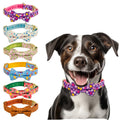 MIDEPET Luxury Brand Dog Bow Tie Collars Elegant Design Adjustable Handmade Nylon Collar for Small Large Dogs Modern Print