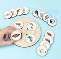 Montessori Life Cycle Puzzle Wooden Learning Toys Life Cycle Board for Kids