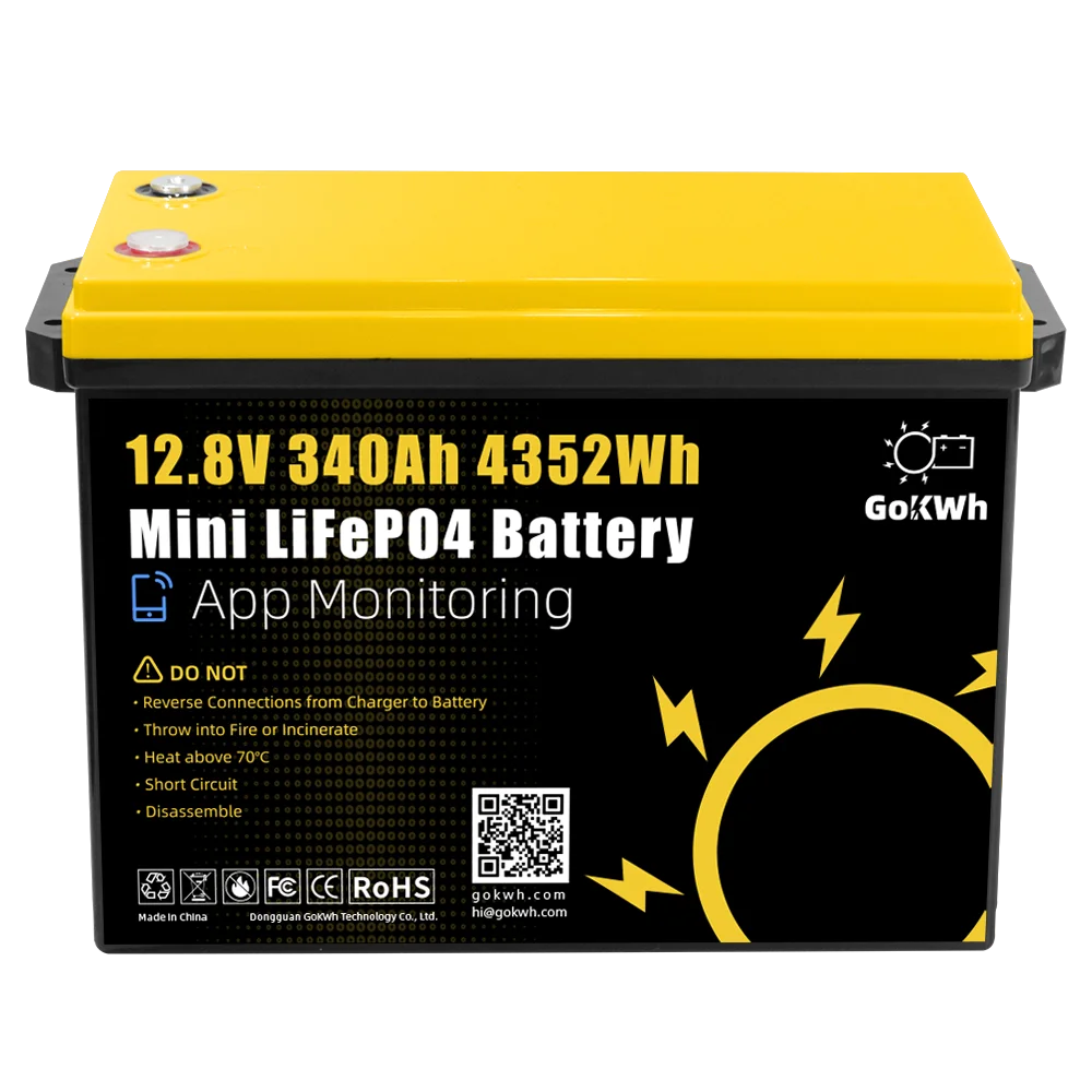 GoKWh 12V 100Ah 200Ah 300Ah 280Ah 320Ah 340Ah Rechargeable Lithium LFP for Fishing Boat AGV RV Golf Cart Auto Lifepo4 Battery