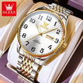 OLEVS 6666 Custom Logo Brand Private Label Wrist Luxury Luminous Stainless Steel Automatic Waterproof Mechanical Men Watch