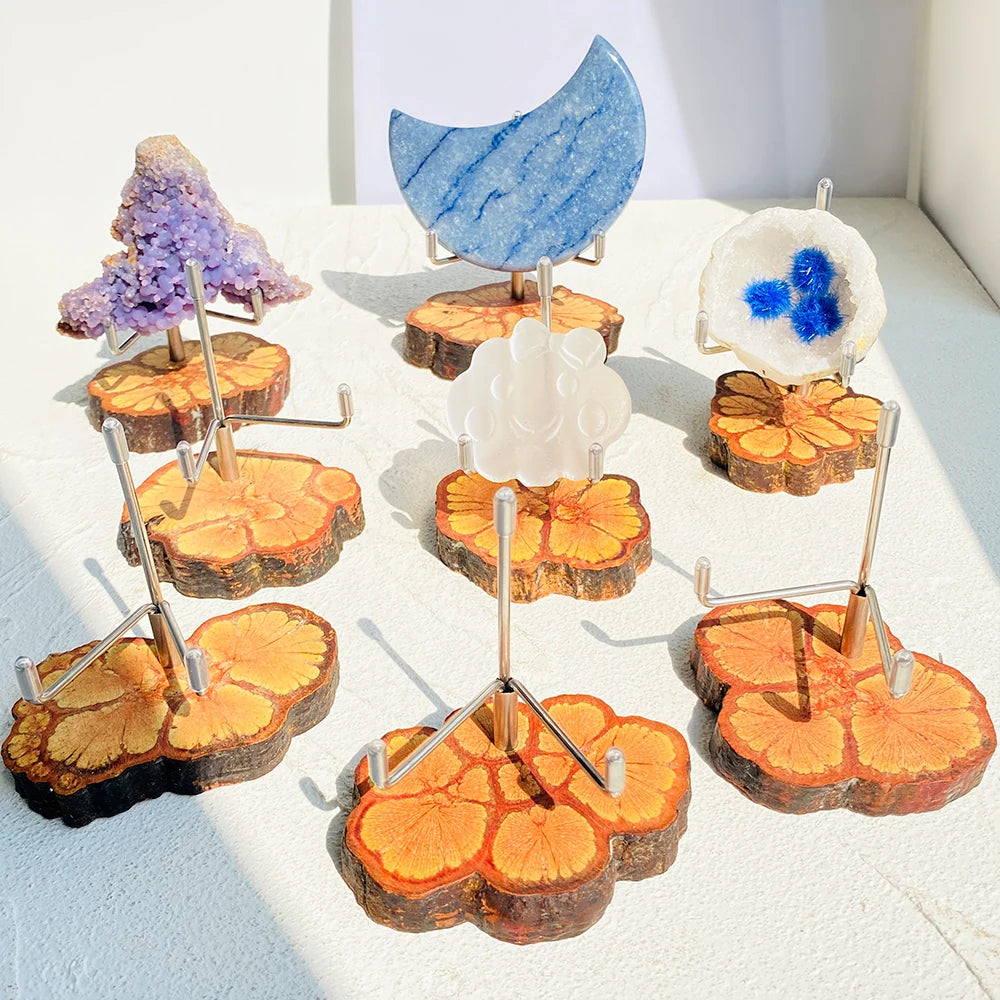New Product Wholesale Natural Wood Fossil Slice Sliver Stand for Gift Decoration