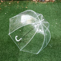Wholesale Women's Modern Transparent Rain Umbrella Clear Bubble Shape with Straight Design Business Gifts for Adults