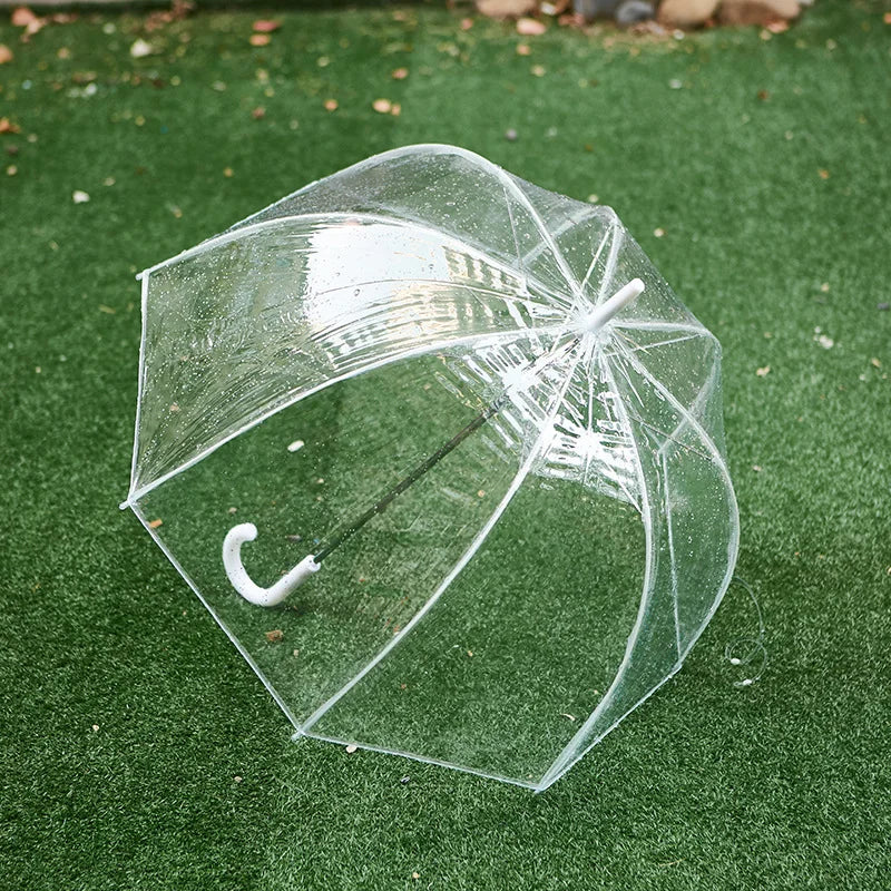Wholesale Women's Modern Transparent Rain Umbrella Clear Bubble Shape with Straight Design Business Gifts for Adults