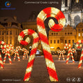 IP65 Waterproof LED Candy Cane Christmas Lights for Outdoor New Year's Day Christmas Decoration Warm White Emittance OEM&ODM