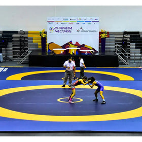 LINYIQUEEN Roll Out Mats Judo Mattress Asicsling Grappling Bjj Wrestling Judo Roll Out Mats for Sale Waterresistant Mma Roll Mat
