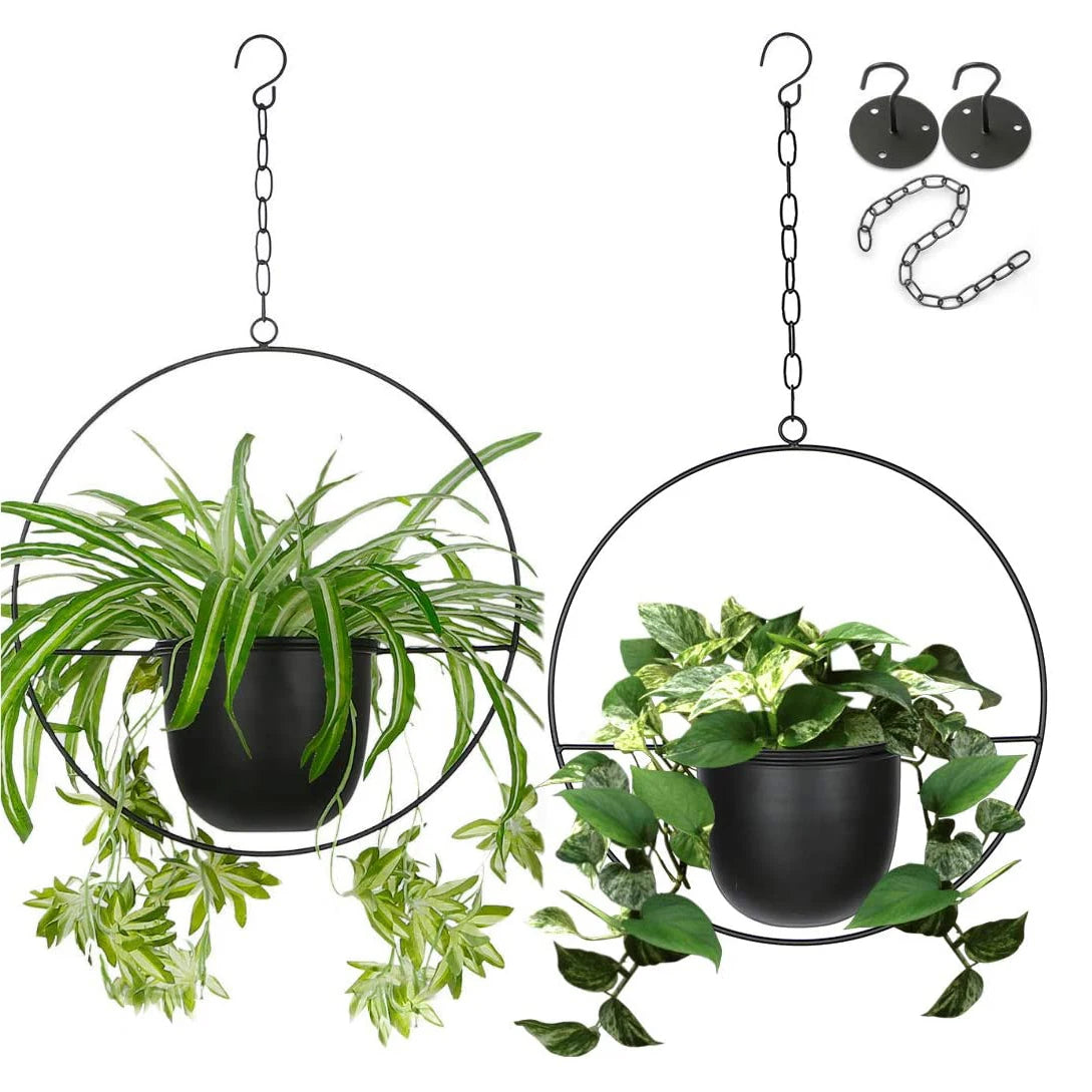 Round Hanging Planters Home Decoration Indoor Outdoor Garden Minimalist Black Gold Powder Coated Iron Wall Ceiling Plant Stand