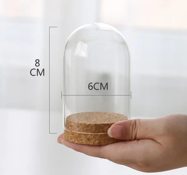 7x12cm  Glass Dome with Cork