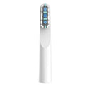 LULA Soft Bristle Replacement Toothbrush Head for Home Use Compatible with Electric Toothbrushes
