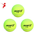 Hot Sale Cheap Promotion Tennis Ball Factory Wholesale Mutli Color Normal Rebound Regail R-300 Tennis Ball Can Be Customized