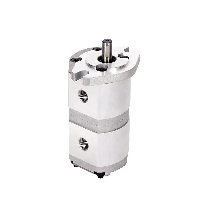 Two Stage Gear Pump Dual Hydraulic Pump Professional Customized Hydraulic Gear Pump