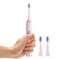 Wholesale Sonic Adult Electrical Tooth Brush Popular Battery Power Home Use Electrical Tooth Brush Sonic Electric Toothbrush MegaBDM
