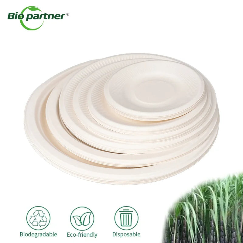 Eco-friendly 100% Compostable Biodegradable Sugarcane Bagasse Plate Microwaveable Tray for Camping Parties Use for Salad Snack