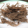 Da Huo Cao Gen Natural Bulk Gerbera Piloselloides Root for Sale
